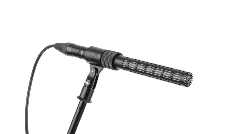 DPA d:dicate™ 2017 Shotgun Mic