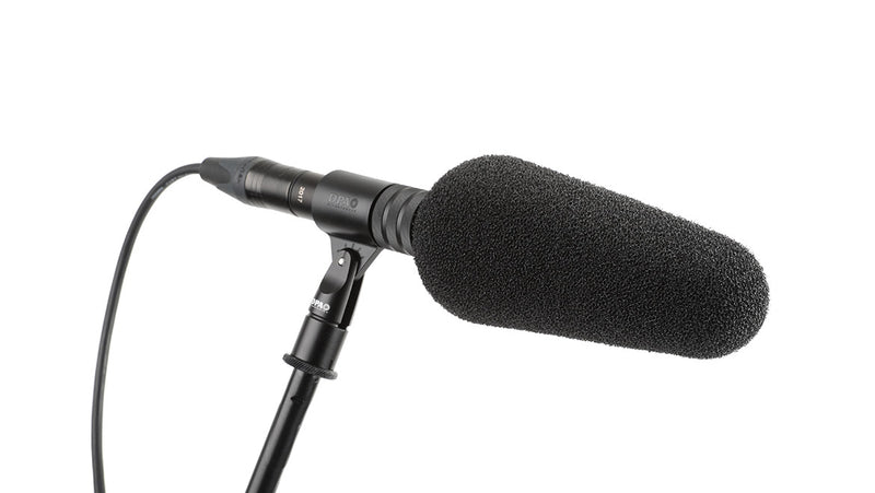 DPA d:dicate™ 2017 Shotgun Mic