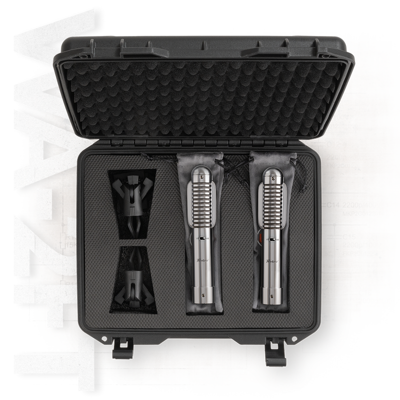 Warm Audio WA-2FT Fen-tone Instrument Ribbon Microphone - Stereo Pair