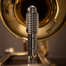 Warm Audio WA-FT Fen-tone Instrument Ribbon Microphone