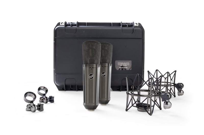 Warm Audio WA-87 R2 TS Titanium Stereo Pair