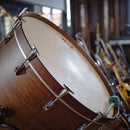 MNTRA Instruments Orakle Virtual Instrument