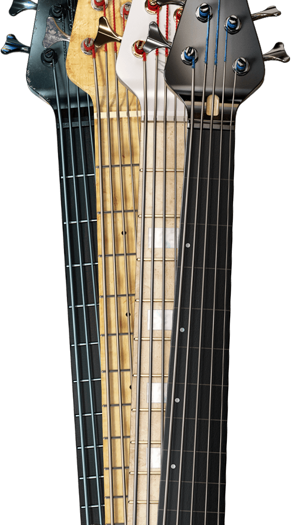 Toontrack Fretless EBX Expansion Pack for EZ Bass