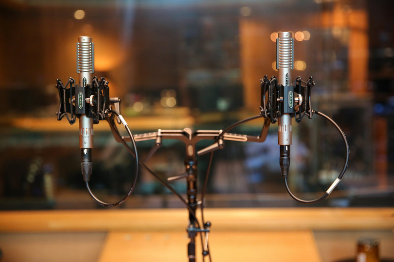 Royer Labs FlexBar Dual Microphone Utility Mount