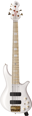 Toontrack Gospel EBX Expansion Pack for EZ Bass