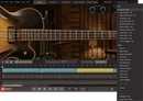 Toontrack Hollowbody EBX Expansion Pack for EZ Bass