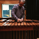 Toontrack EZ Keys Melodic Percussion - Wood EKX Expansion