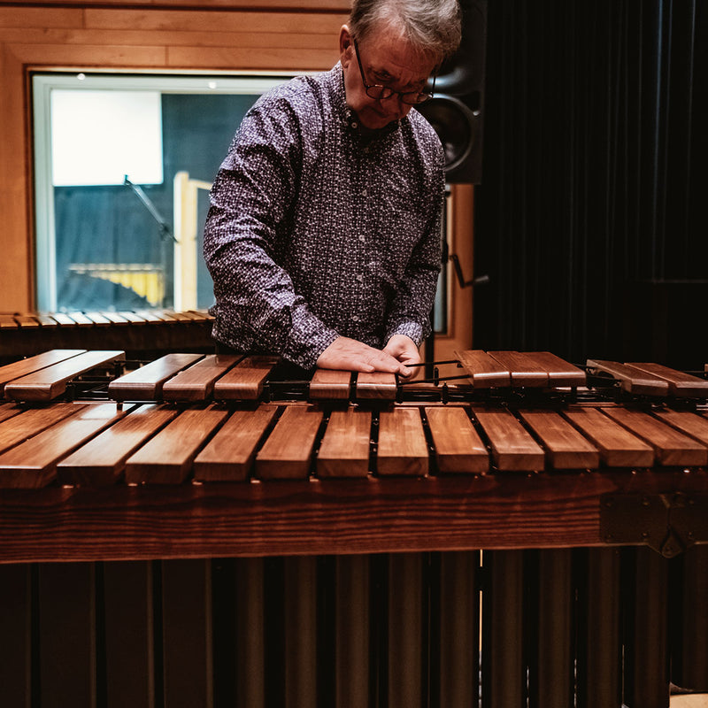 Toontrack EZ Keys Melodic Percussion - Wood EKX Expansion