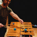 Toontrack EZ Keys Melodic Percussion - Metal EKX Expansion