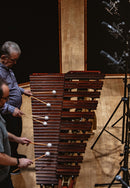 Toontrack EZ Keys Melodic Percussion - Wood EKX Expansion