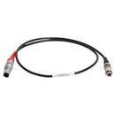 Ambient LTC-OUT-DIN Timecode Cable