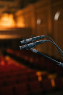 Sennheiser MKH 8030 Figure-of-8 Condenser Microphone