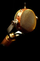 Ear Trumpet Labs Mabel Multi-Pattern Studio Condenser Microphone