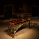 Toontrack EZ Keys Melodic Percussion - Wood EKX Expansion