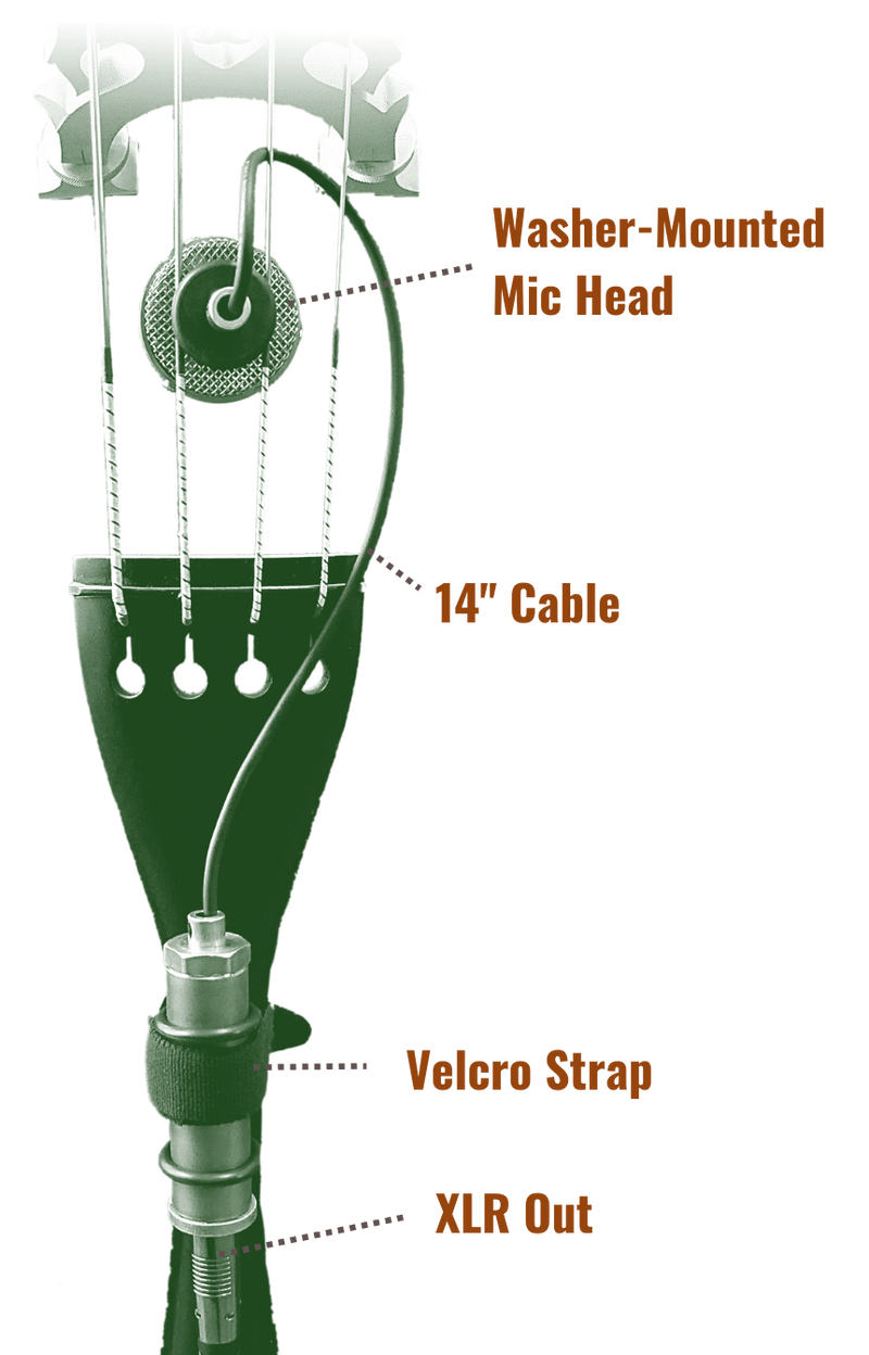 Ear Trumpet Labs Nadine Large Diaphragm Condenser Microphone