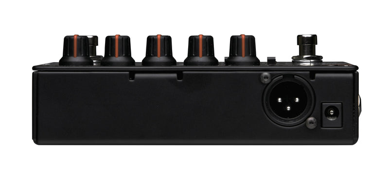 Radial Engineering PZ-Deluxe Acoustic Instrument Preamp
