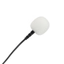 Bubble-Bee The Outdoor Mic Kit for Deity W.Lav Pro