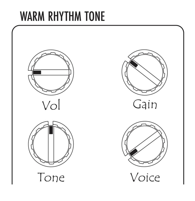 Warm Audio Warmdrive Overdrive Pedal