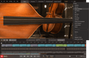 Toontrack Upright EBX Expansion Pack for EZ Bass