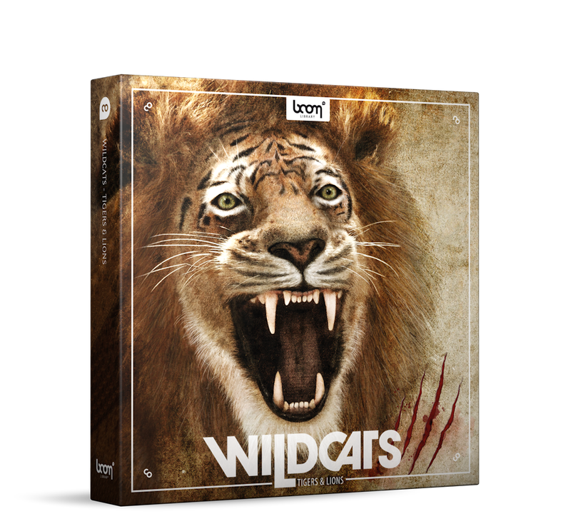 BOOM Library Boom Wildcats