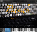PSound Bayan Virtual Instrument