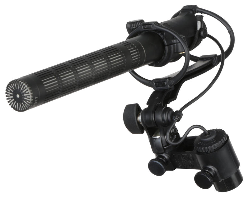 Cinela E-OSIX-4017C Mic Mount with Elliptic Isolators