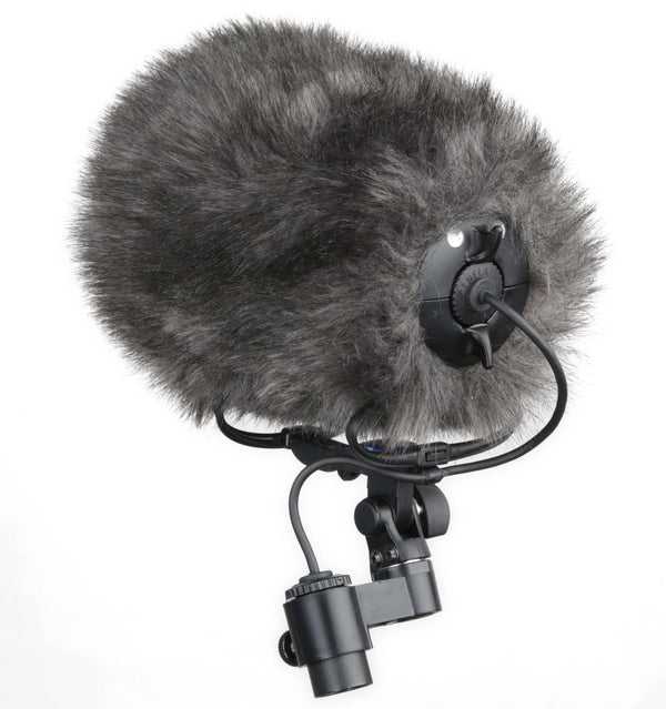 Cinela COSI Modular W/Shield, XS, CMC1L (CUT60 Recommended)