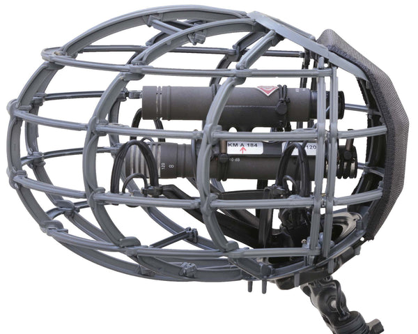 Cinela Zephyx Windshield for Neumann MS (A)