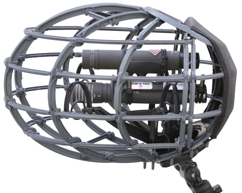 Cinela Zephyx Windshield for Neumann MS (A)