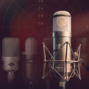 Universal Audio Sphere DLX Modelling Microphone