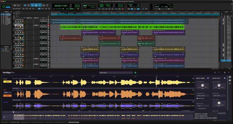 Synchro Arts VocAlign Pro 6 - New License