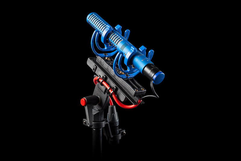 Rycote "Perfect For" Windshield Kit for Schoeps MiniCMIT