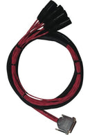 Avid DB25 - Male XLR DigiSnake Loom