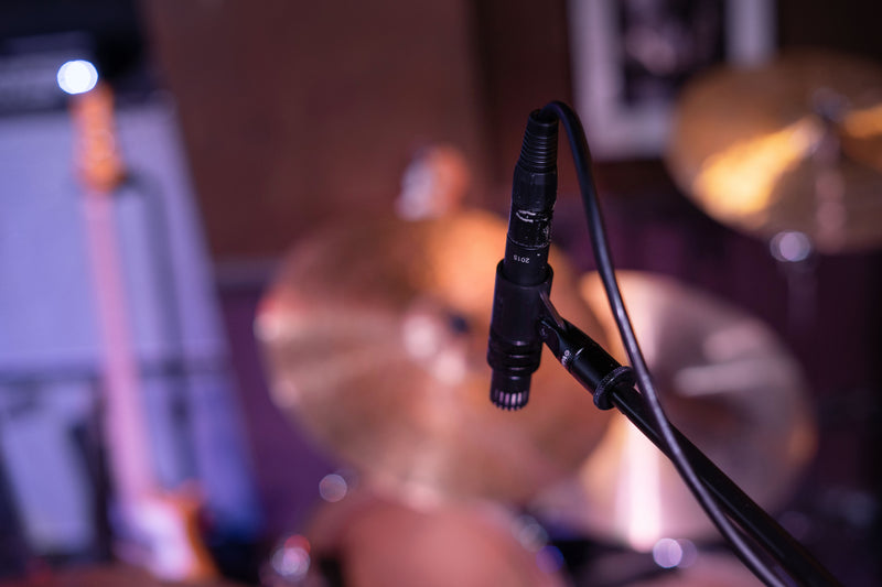 DPA Microphones 2015 Compact Wide Cardioid Mic