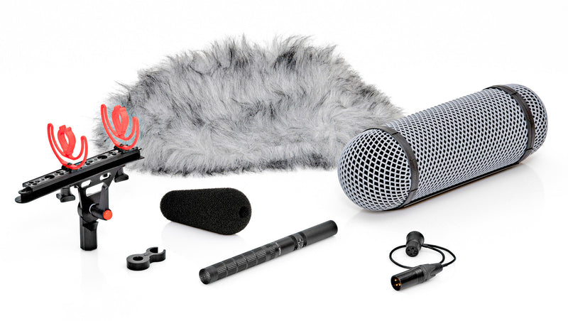 DPA d:dicate™ 4017 Shotgun Mic