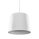 Genelec 4436A Smart IP Active Pendant Speaker