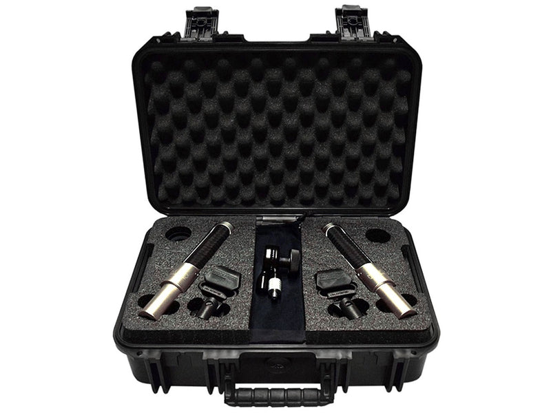 AEA NUVO N22 Stereo Kit
