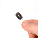 Bubble-Bee Lav Concealer-Deity W.Lav Pro