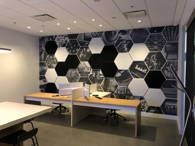 Vicoustic Vixagon VMT Acoustic Panels