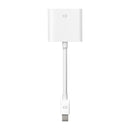 Apple Mini DisplayPort to DVI Adaptor