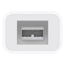 Apple Thunderbolt to Firewire Adaptor