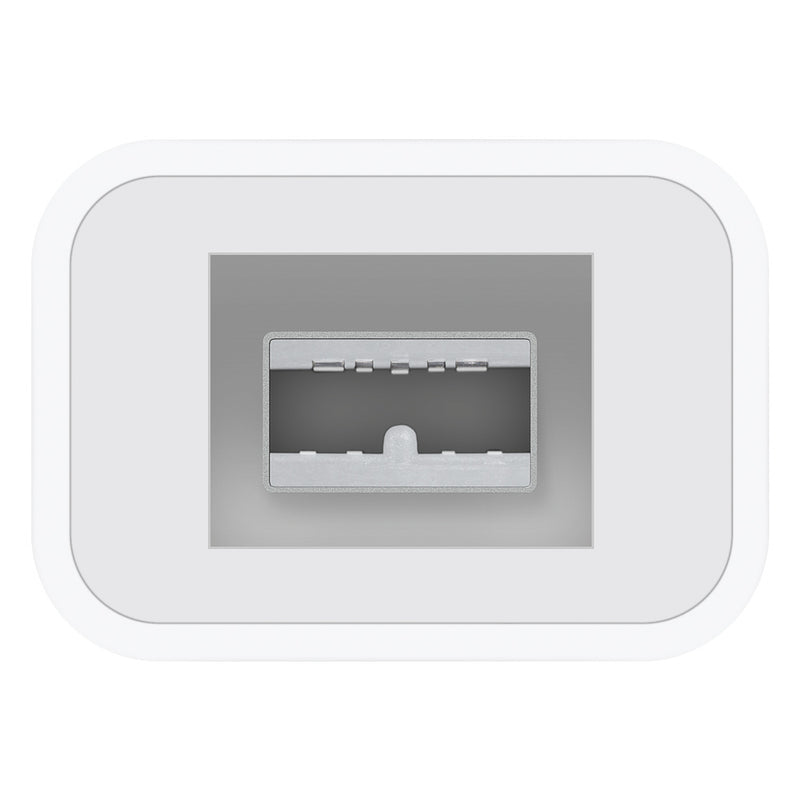 Apple Thunderbolt to Firewire Adaptor