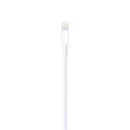 Apple Lightning to USB Cable 1m