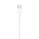 Apple Lightning to USB Cable 1m