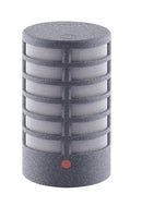 Schoeps MK41 Supercardioid Mic Capsule