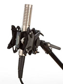 Royer Labs R-121 Ribbon Microphone
