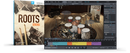 Toontrack Roots SDX Expansion Pack - Sticks