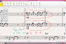 Avid Sibelius Ultimate Notation Software - Perpetual