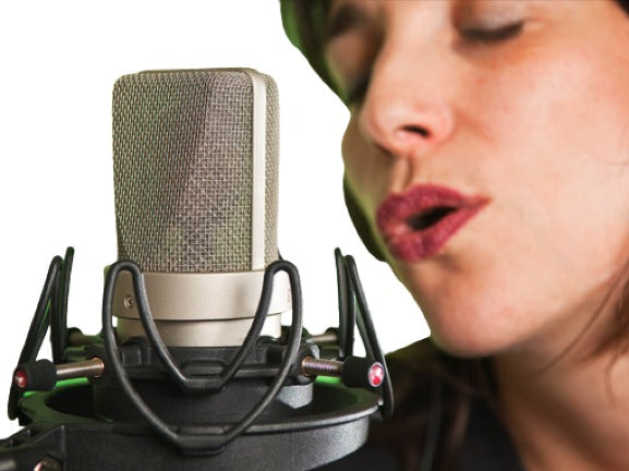 Rycote InVision Universal Studio Mount