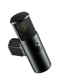 Warm Audio WA-8000 Large Diaphragm Tube Condenser Mic